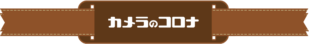 カメラのコロナ ドローン販売